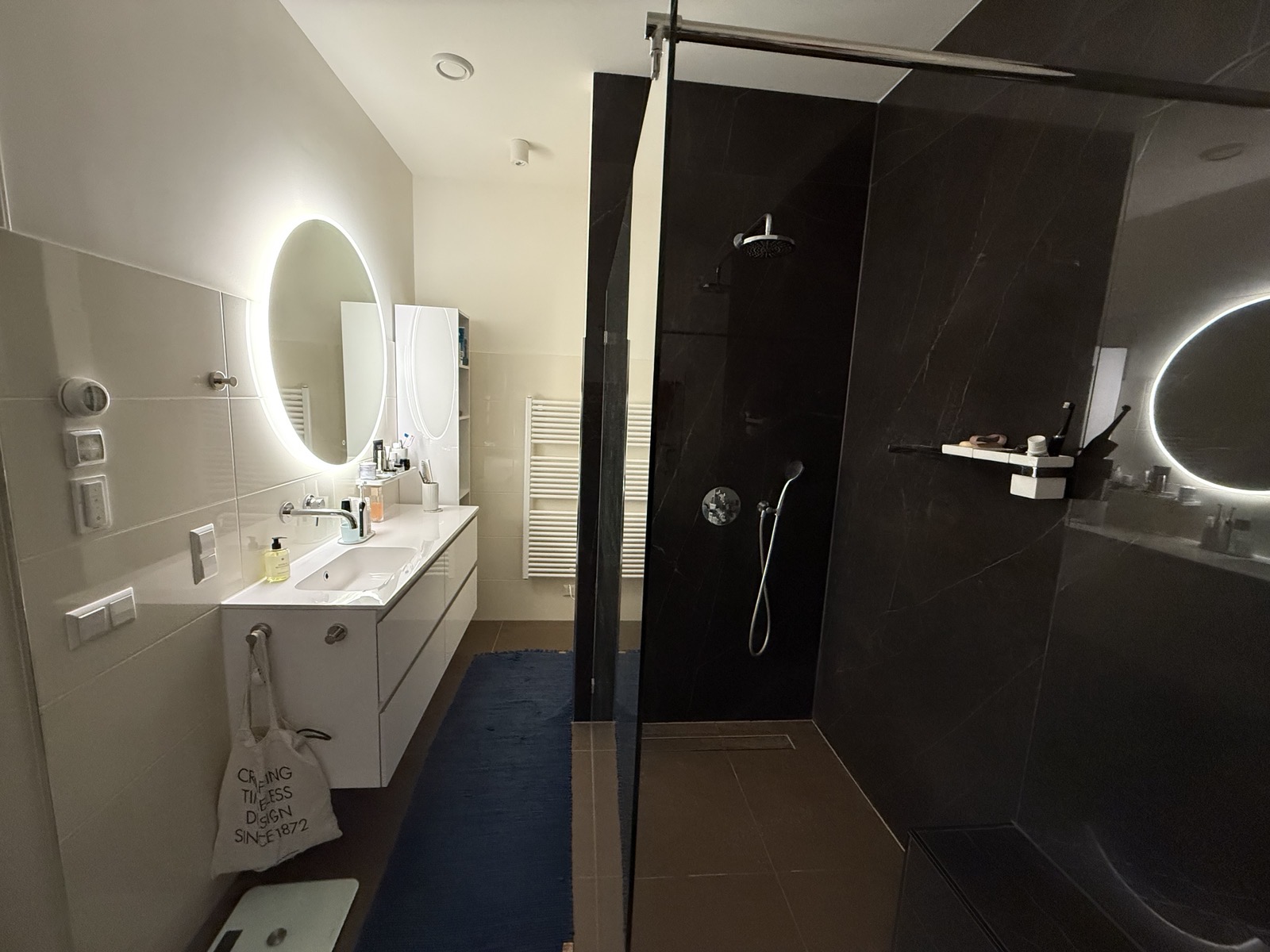 Bathroom overview: vanity and walk-in shower