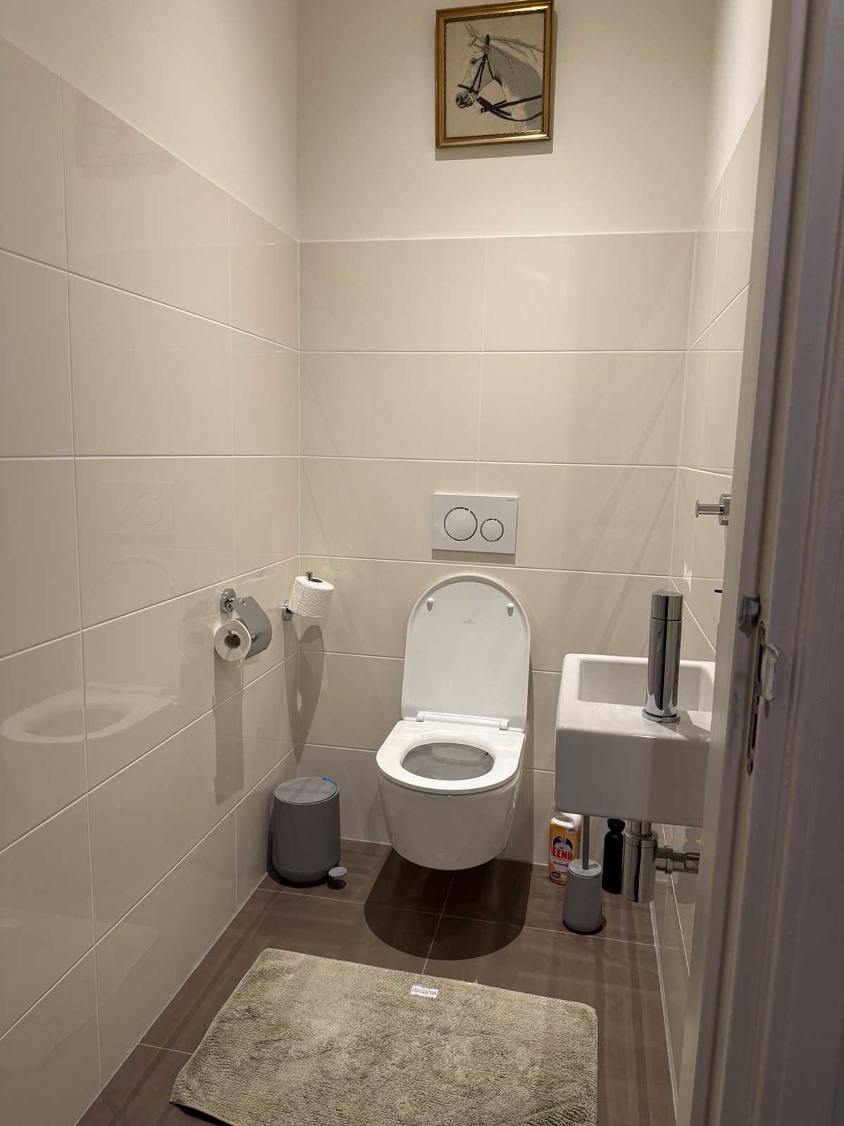 Guest toilet overview